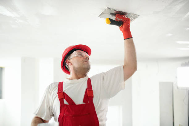 Reliable Meadow Lakes, AK Drywall and Painting Service Solutions